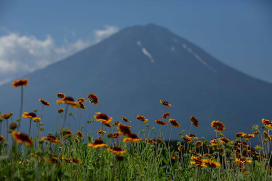 Mt.FUJI.022